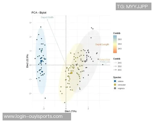 体育实时数据从零开始打造高效篮球团队协作的全面指南与实战技巧分享